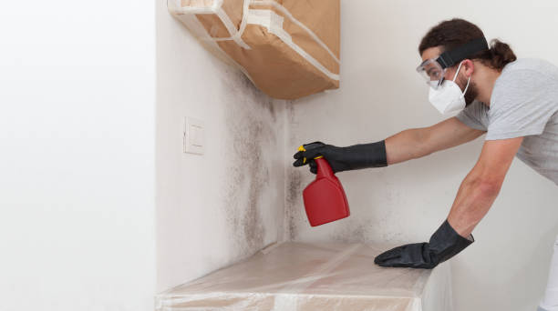 Professional Attic Mold Removal technician working in Universal City, TX