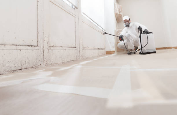 24/7 Emergency Attic Mold Removal experts in Universal City, TX
